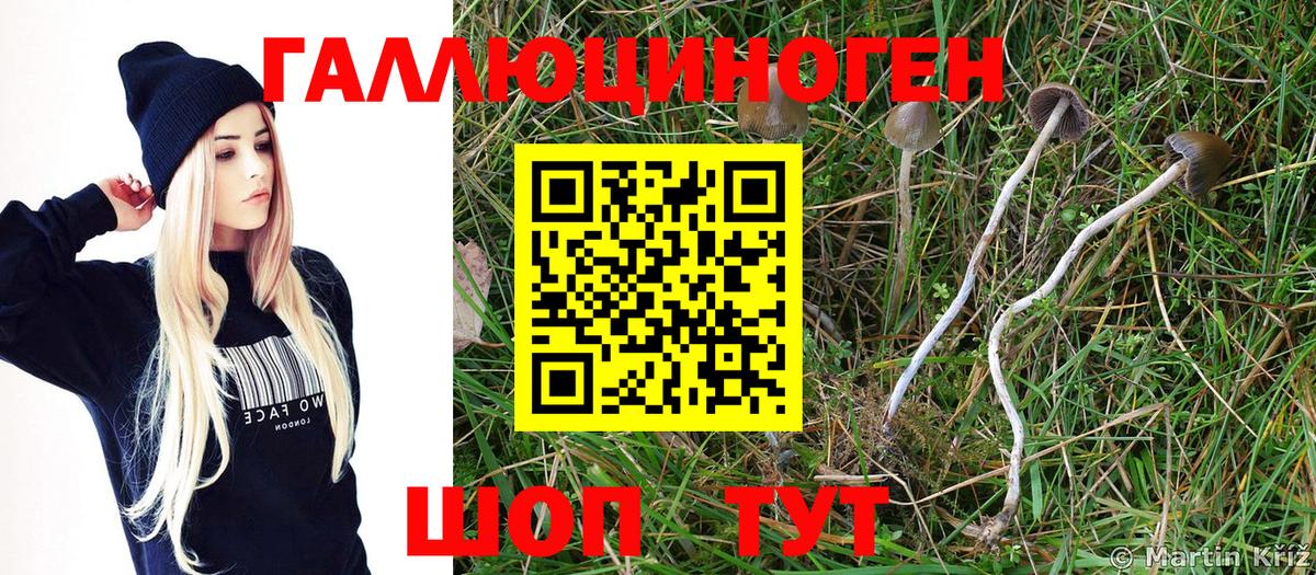 Галлюциногенные грибы MAGIC MUSHROOMS Орск
