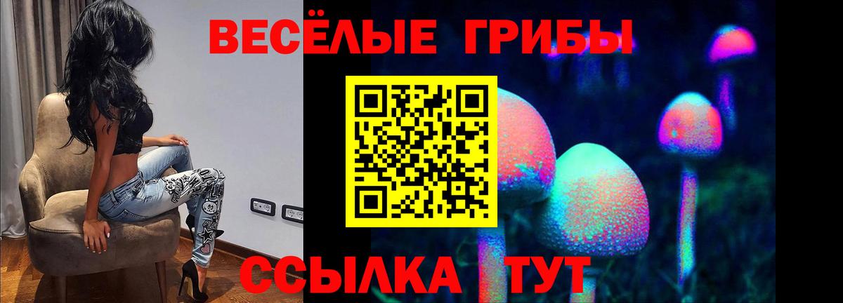 Псилоцибиновые грибы мицелий  Вход с VPN  Орск  Псилоцибиновые грибы прущие грибы 